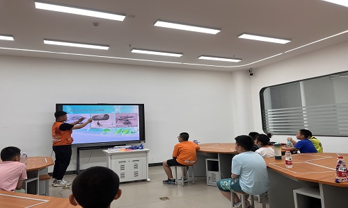 新疆保華潤天航空新動向:深入了解青少年無人機等級考試